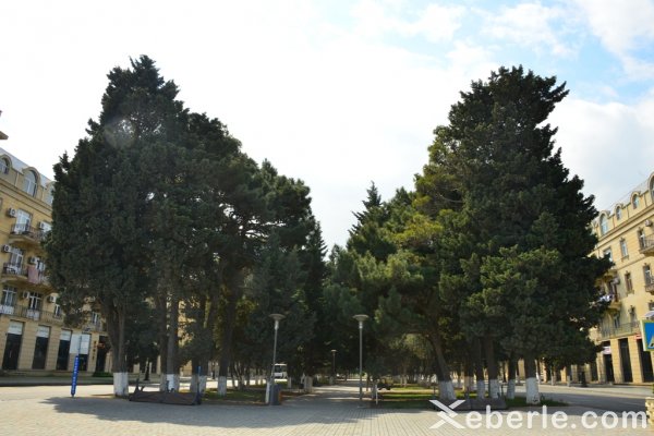 Sumqayıtda  xüsusi karantin rejiminə necə əməl edilir? - FOTOREPORTAJ