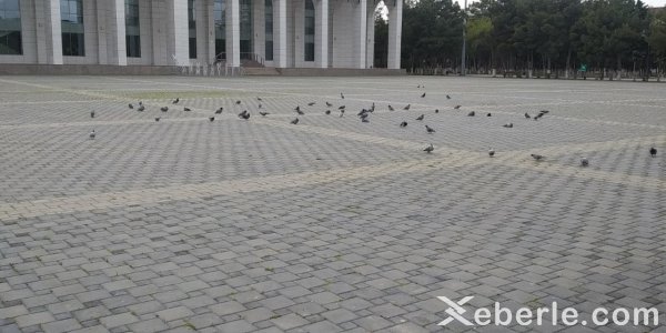 Məhdudiyyətin ilk günündə Sumqayıt - FOTOLAR