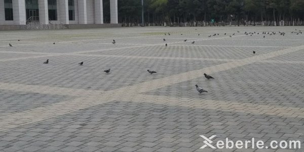 Məhdudiyyətin ilk günündə Sumqayıt - FOTOLAR