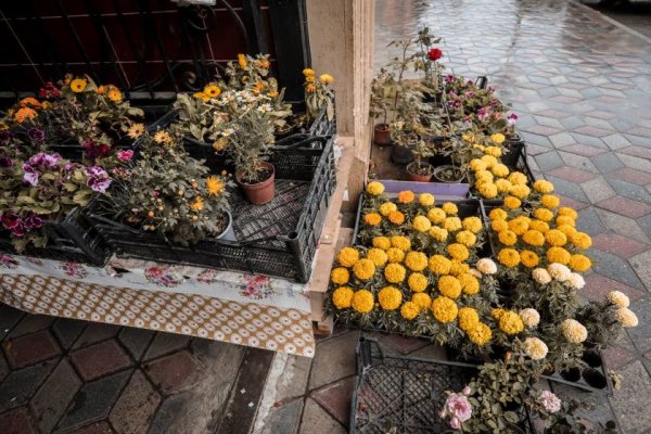 Maska və əlcək taxmayan satıcılar, müştərilər... - Sumqayıt bazarından FOTOREPORTAJ