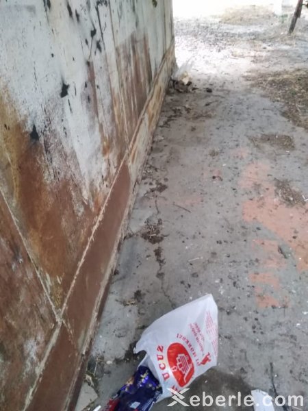 Sumqayıtda Əbülfəz Babayevin qardaşının hegemonluğu: kimə istəyirsiniz şikayət edin... - VİDEO(FOTO)