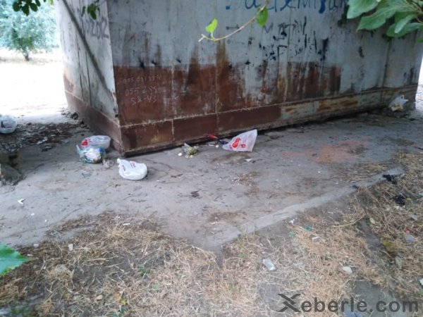 Sumqayıtda Əbülfəz Babayevin qardaşının hegemonluğu: kimə istəyirsiniz şikayət edin... - VİDEO(FOTO)