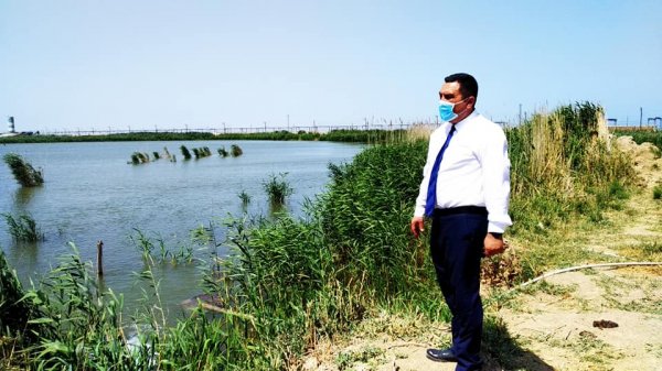 Deputat Müşfiq Məmmədli seçicilərin problemləri ilə maraqlandı - FOTOLAR