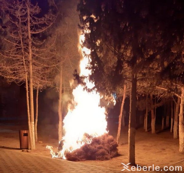 Sumqayıtda "Kimyaçı" sarayı yaxınlığında yanğın - VİDEO (FOTO)