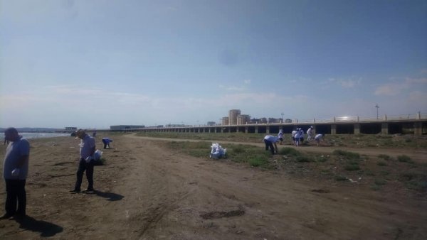 Sumqayıtda Xəzərətrafı ərazilərdə təmizlik işləri aparılıb - VİDEO (FOTO)