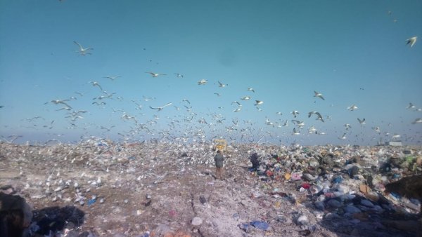 Sumqayıt şəhərində məişət tullantılarının idarə olunması vəziyyəti - Aysəf Bayramovun YAZISI Sumqayıt şəhərində məişət tullantılarının idarə olunması vəziyyəti - Aysəf Bayramovun YAZISI