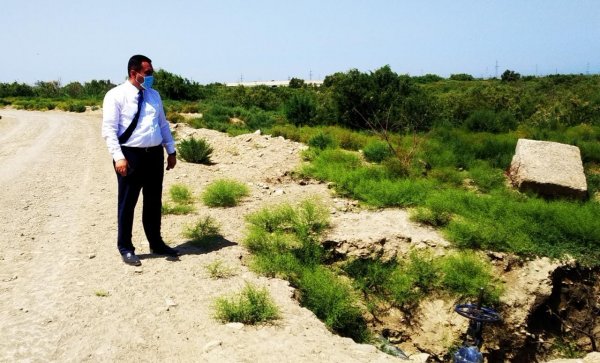 Sumqayıtlı deputat "Yaşma bağları"nın problemlərindən danışdı -FOTO