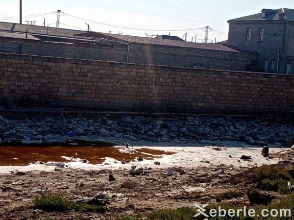Sumqayıtda bu ərazidə nə baş verir? - FOTO