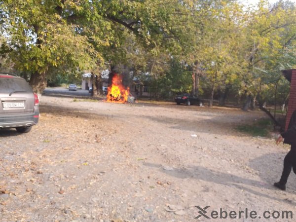 “Smerç”lə vurulan Bərdə - Foto
