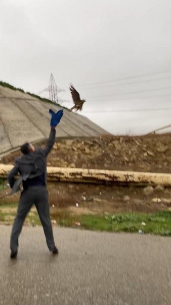 Şahin quşalarını qanunsuz ovlayan əcnəbi saxlanıldı - FOTO Şahin quşalarını qanunsuz ovlayan əcnəbi saxlanıldı - FOTO