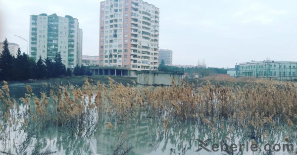 Sumqayıtda yeni turizm istiqaməti - qayıq və katamaranla küçələrdə səyahət (FOTOSESSİYA)