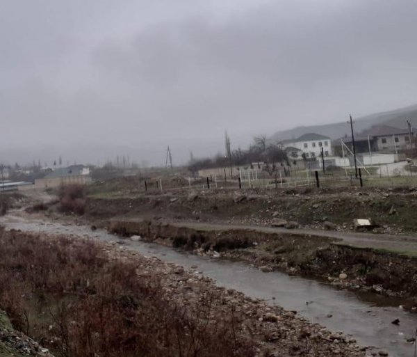 Şabran Yaşıllıq və Təmizlik İdarəsinin rəisi cərimələndi -FOTO Şabran Yaşıllıq və Təmizlik İdarəsinin rəisi cərimələndi -FOTO