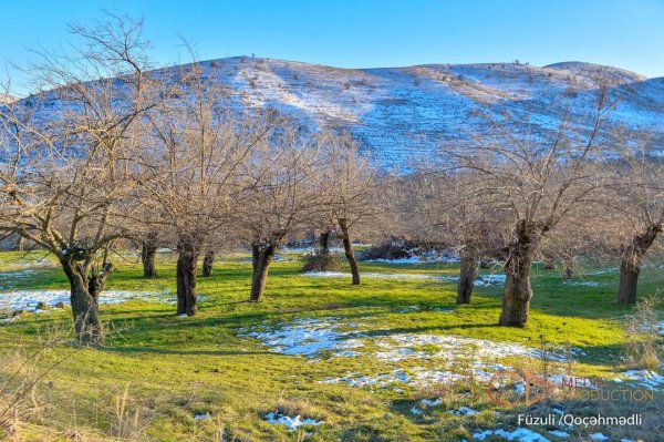Mən yenə gələcəm, Qoçəhmədli! - Vüsal Hacıyev YAZIR (FOTOLAR)