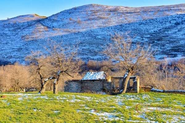 Mən yenə gələcəm, Qoçəhmədli! - Vüsal Hacıyev YAZIR (FOTOLAR)