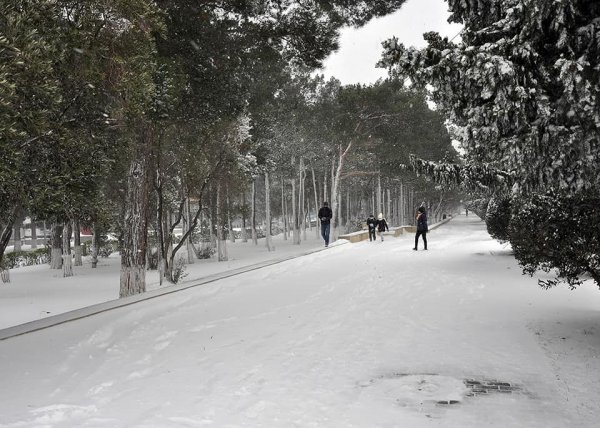 Qarlı Sumqayıtdan FOTOLAR