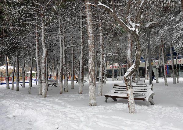 Qarlı Sumqayıtdan FOTOLAR