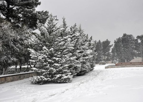 Qarlı Sumqayıtdan FOTOLAR