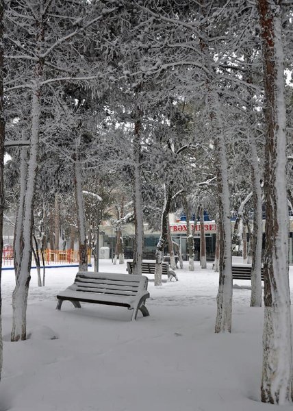 Qarlı Sumqayıtdan FOTOLAR
