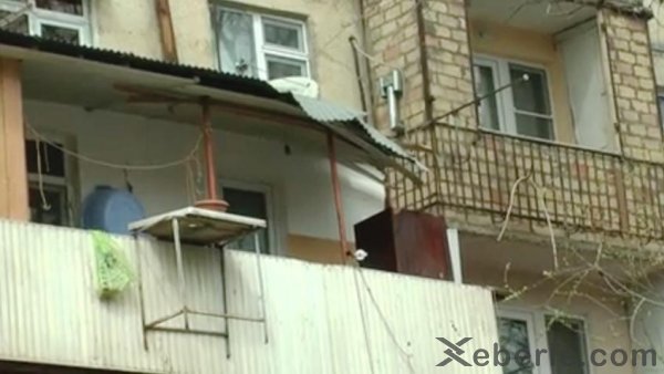 Sumqayıtda güclü külək 8 ağacı kökündən çıxarıb - VİDEO (FOTO)
