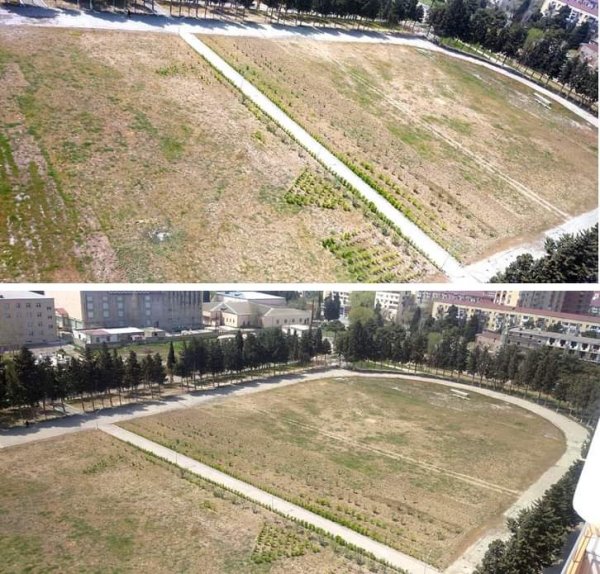Sumqayıt Dövlət Univeristetində stadionu bostana çeviriblər? -AÇIQLAMA (FOTO)