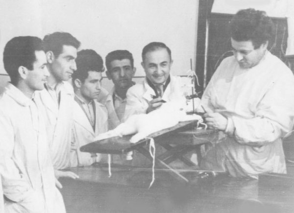 Sumqayıt səhiyyəsinin veteranları - Vaqif Qəhrəmanovun cərrahlıq “odisseyası” (FOTOLAR) Sumqayıt səhiyyəsinin veteranları - Vaqif Qəhrəmanovun cərrahlıq “odisseyası” (FOTOLAR)