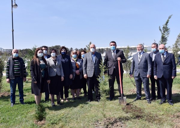 Zakir Fərəcov ağacəkmə aksiyasında iştirak edib – FOTOLAR