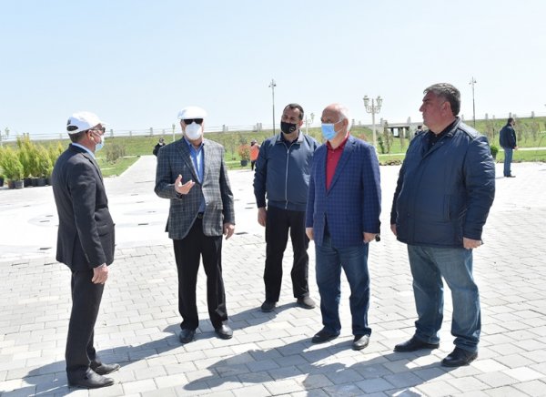 Zakir Fərəcov ağacəkmə aksiyasında iştirak edib – FOTOLAR