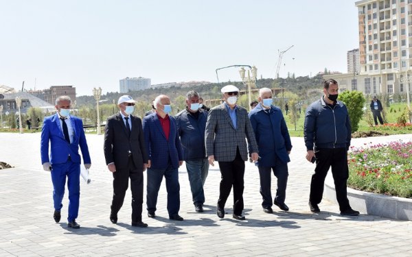 Zakir Fərəcov ağacəkmə aksiyasında iştirak edib – FOTOLAR
