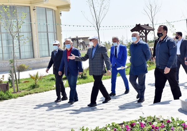 Zakir Fərəcov ağacəkmə aksiyasında iştirak edib – FOTOLAR