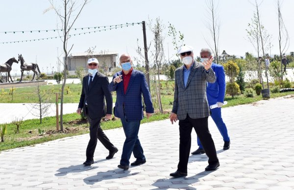 Zakir Fərəcov ağacəkmə aksiyasında iştirak edib – FOTOLAR