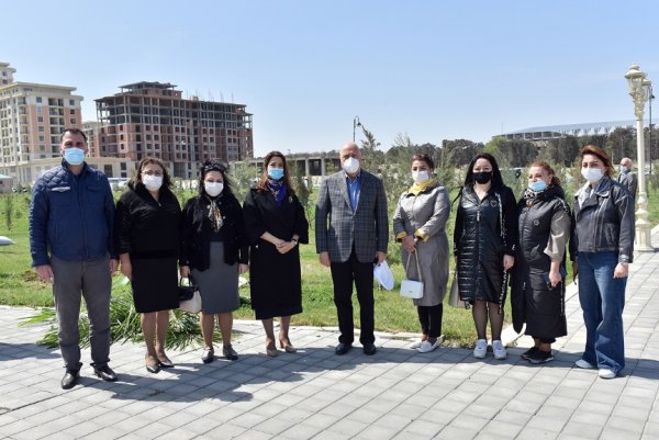 Zakir Fərəcov ağacəkmə aksiyasında iştirak edib – FOTOLAR