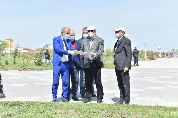 Zakir Fərəcov ağacəkmə aksiyasında iştirak edib – FOTOLAR