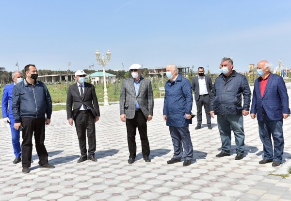 Zakir Fərəcov ağacəkmə aksiyasında iştirak edib – FOTOLAR