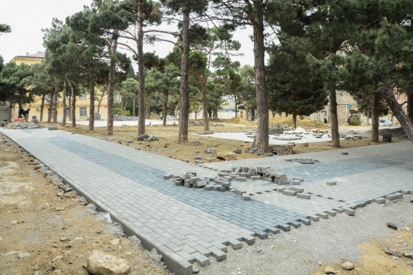 Bakıda küçəyə Polad Həşimovun adı verildi, yeni park salınır - Fotolar