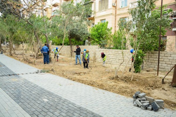 Bakıda küçəyə Polad Həşimovun adı verildi, yeni park salınır - Fotolar