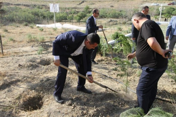 Xızıda ağacəkmə aksiyası keçirilib - FOTOLAR