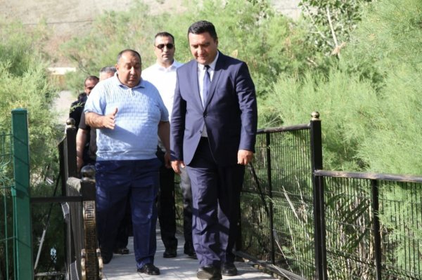 Xızıda ağacəkmə aksiyası keçirilib - FOTOLAR