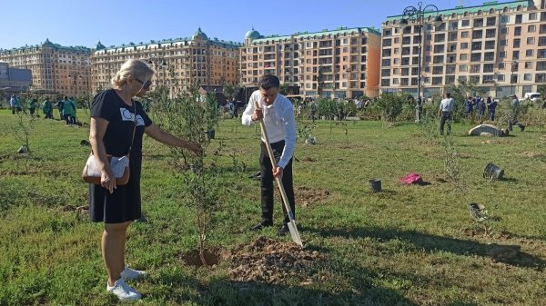Sumqayıt YAP-çıları anım gününə həsr olunmuş ağacəkmə aksiyasında iştirak ediblər - FOTOLAR