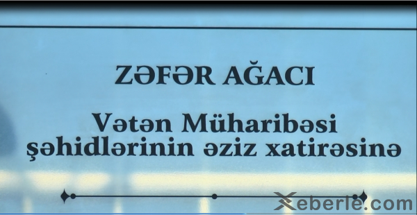 Sumqayıtda "Qalib əsgər" heykəlinin açılışı olub - FOTOLAR
