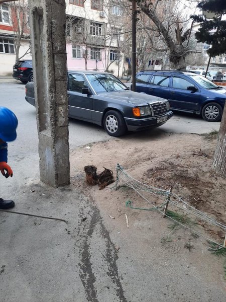 Sumqayıtda kanalizasiya quyuları təmizlənir - FOTOLAR
