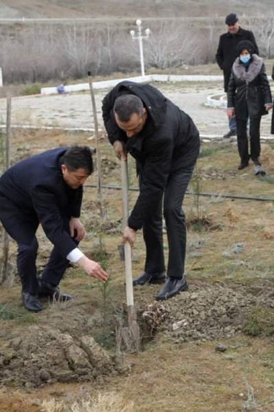 Novruz bayramı ərəfəsində ağacəkmə aksiyası keçirilib -FOTO