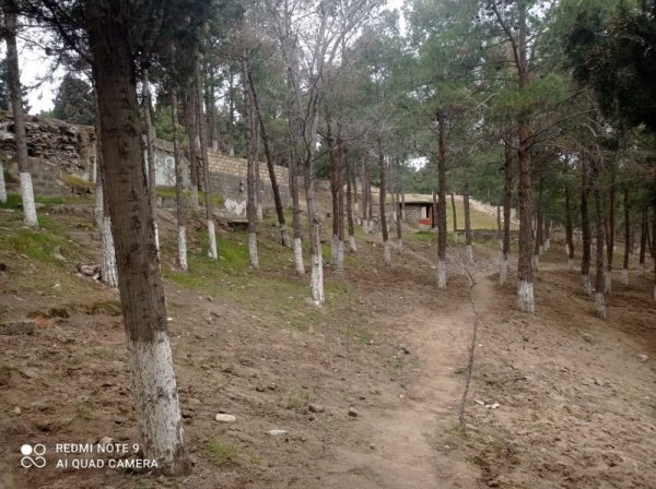 Sumqayıt parkında təhlükə mənbəyi - FOTOLAR