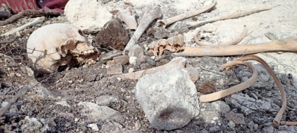 Fərruxda daha 3 azərbaycanlının meyitlərinin qalıqları tapıldı - FOTO