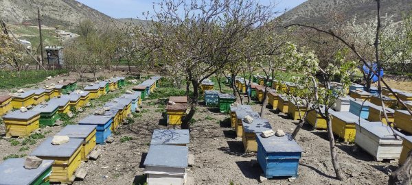 Deputat Müşfiq Məmmədli Xızıda seçicilərin problemləri ilə maraqlanıb - FOTO