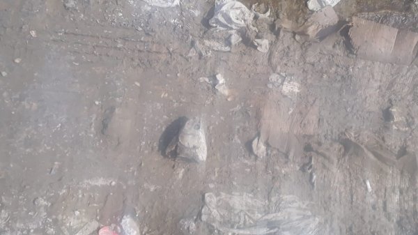 Sənaye tullantıları, balıq başı, hətta qədim it çənə sümüyü - "Yaşıl dərə"dən oxucu məktubu (FOTOLAR)