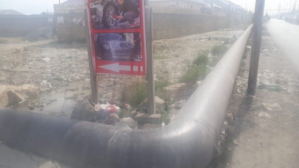 Sənaye tullantıları, balıq başı, hətta qədim it çənə sümüyü - "Yaşıl dərə"dən oxucu məktubu (FOTOLAR)