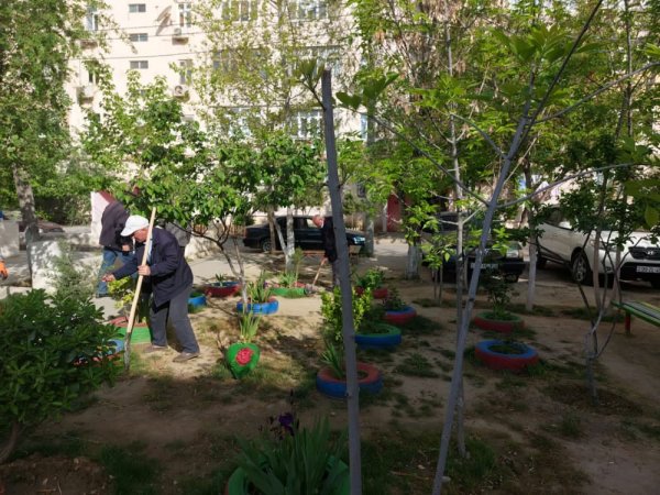 Sumqayıtda bu ərazilərdə iməcilik keçirilib - FOTO