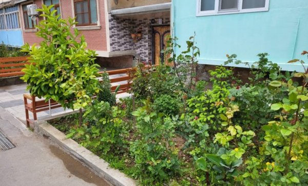 Sumqayıt sakinlərindən maraqlı təşəbbüs -FOTO Sumqayıt sakinlərindən maraqlı təşəbbüs -FOTO