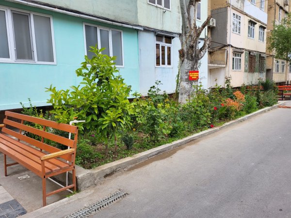 Sumqayıt sakinlərindən maraqlı təşəbbüs -FOTO Sumqayıt sakinlərindən maraqlı təşəbbüs -FOTO