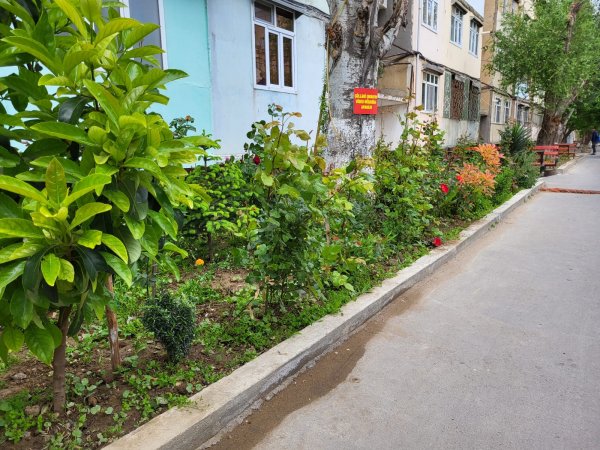 Sumqayıt sakinlərindən maraqlı təşəbbüs -FOTO Sumqayıt sakinlərindən maraqlı təşəbbüs -FOTO